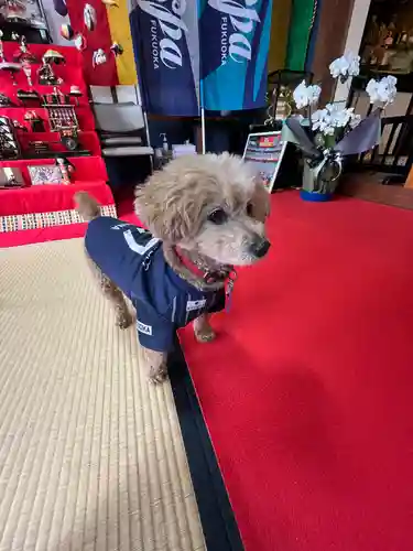 聖光寺の本殿・本堂