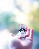 浄土寺(兵庫県)