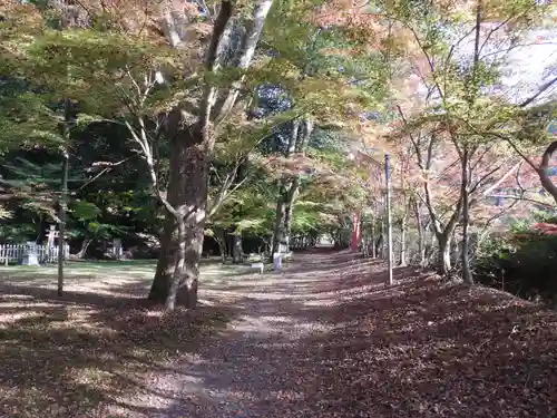 金剛院(京都府)