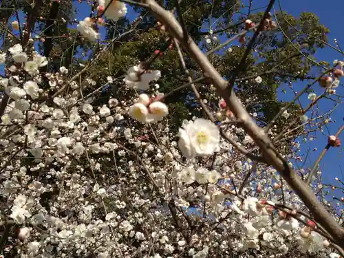 熱田神宮の自然