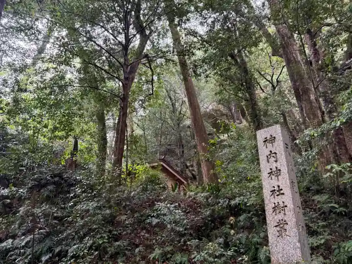 神内神社の{uncategorized: "未分類", other: "その他", undefined: "問題あり", building: "その他建物", grave: "お墓", sacred_gate: "鳥居", guardian: "狛犬", statue: "像", buddha: "仏像", history: "歴史", nature: "自然", garden: "庭園", animal: "動物", pagoda: "塔", temizu: "手水舎", mountain_gate: "山門・神門", sanctuary: "本殿・本堂", subordinate: "末社・摂社", art: "芸術", scenery: "景色", jizo: "地蔵", ema: "絵馬", goshuin: "御朱印", omikuji: "おみくじ", items: "授与品その他", amulet: "お守り", goshuincho: "御朱印帳", eats: "食事", festival: "お祭り", votive_dance: "神楽", shichigosan: "七五三参", wedding: "結婚式", experience: "体験その他", initially: "初詣", around: "周辺", anti_infection: "感染症対策"}