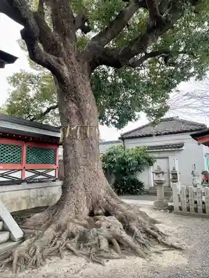 生根神社(大阪府)
