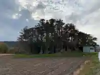 天照皇大神社の自然