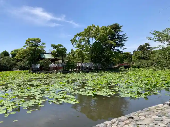 鶴岡八幡宮(神奈川県)