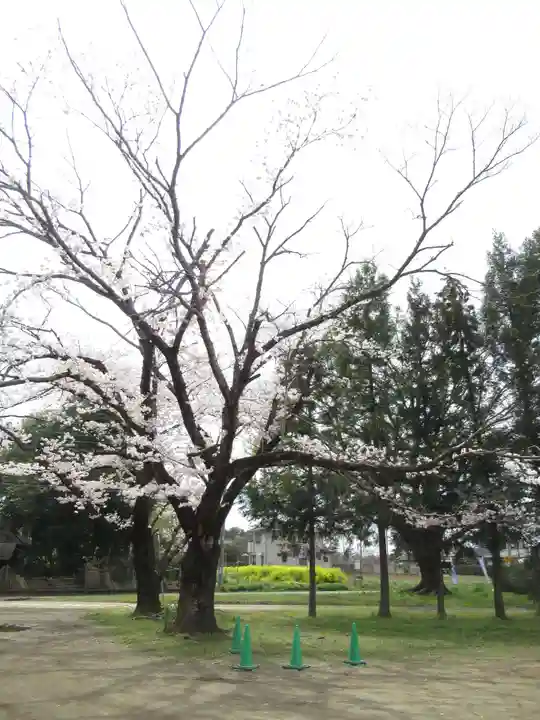 伏木香取神社(茨城県)