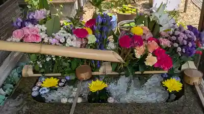 勝林寺(京都府)