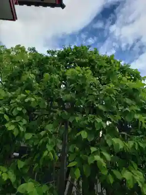 成願寺(東京都)