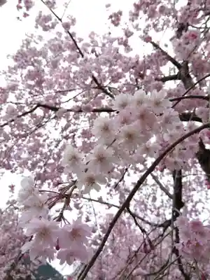 日吉神社(福井県)