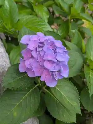 大宝八幡宮(茨城県)