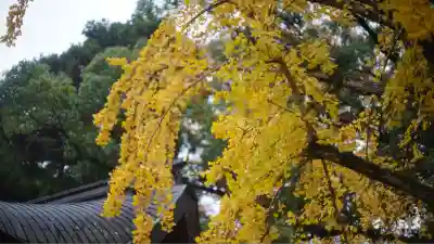 北野天満宮(京都府)