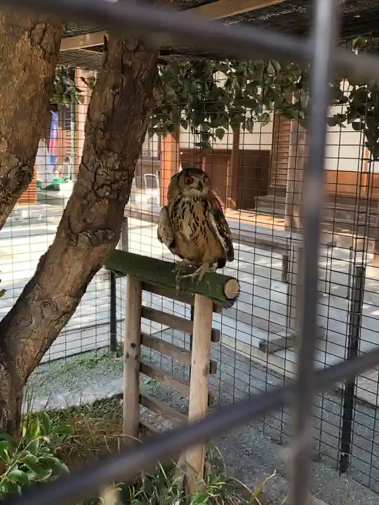 宮地嶽神社(福岡県)