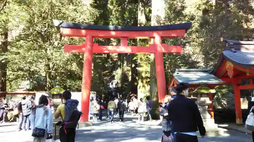 箱根神社の鳥居