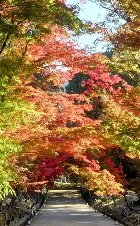 醍醐寺(京都府)