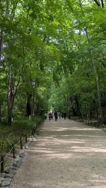 賀茂御祖神社(下鴨神社)(京都府)