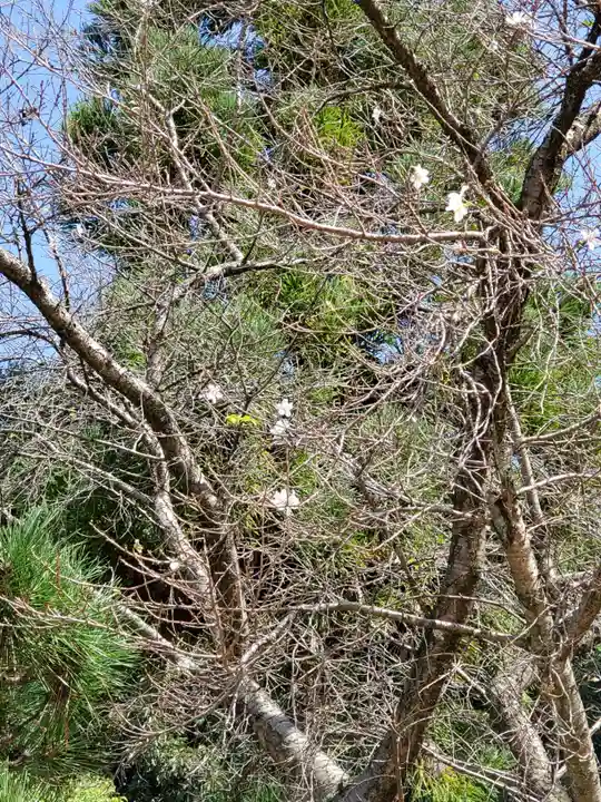 石作神社の自然