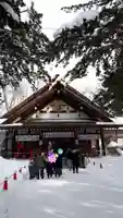 新琴似神社の本殿・本堂