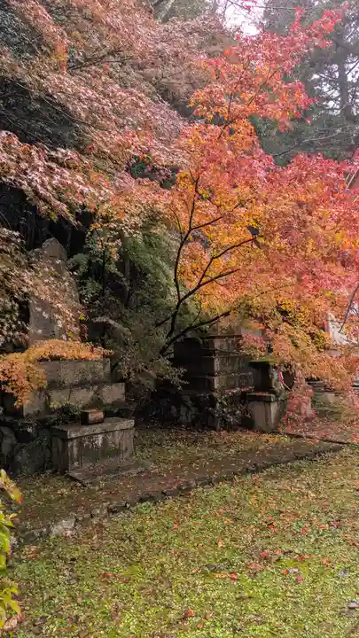 若山神社(大阪府)