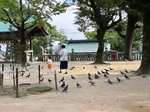 忌宮神社の動物