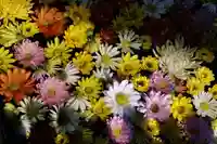 大鏑神社の手水舎