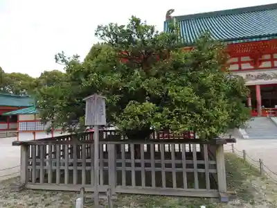 平安神宮(京都府)