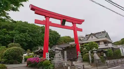 武州柿生琴平神社の鳥居