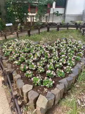 川越八幡宮(埼玉県)