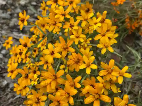 豊景神社(福島県)