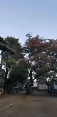 上小岩天祖神社の自然