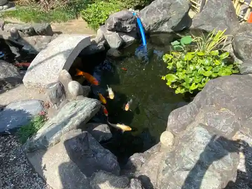 尾張猿田彦神社の庭園