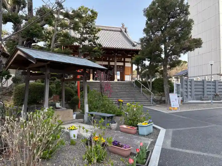 廣智寺(観音廣智勝幢禅寺)(大阪府)