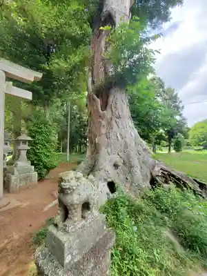 藤岡神社(栃木県)