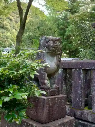 伊奈波神社の狛犬