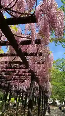 玉敷神社(埼玉県)