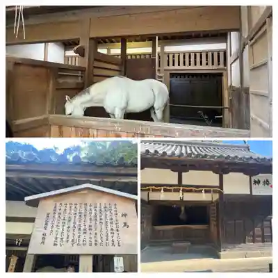 金刀比羅宮(香川県)