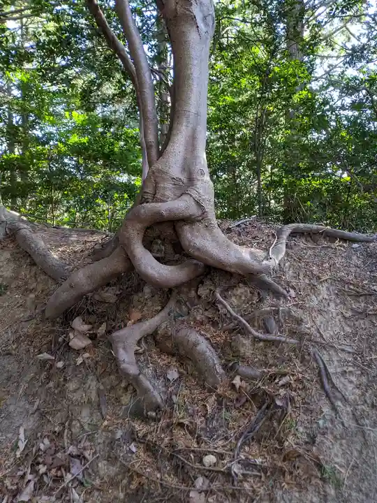 砥鹿神社(奥宮)(愛知県)