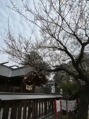 大間々神明宮(群馬県)