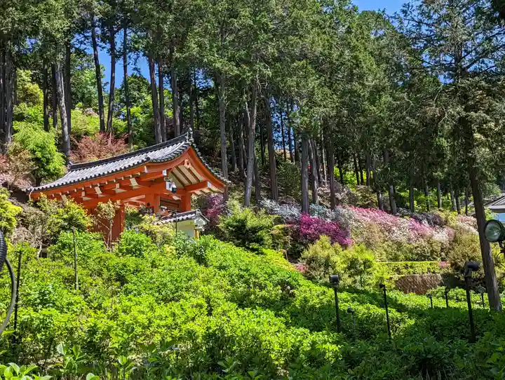 三室戸寺(京都府)