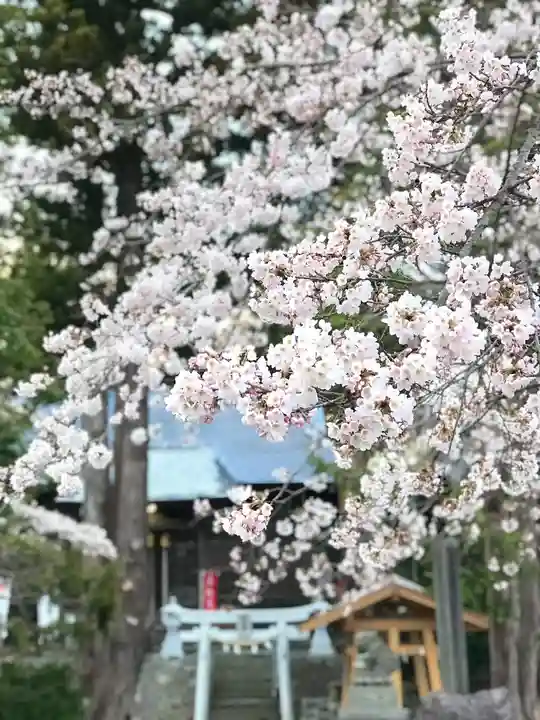 高司神社〜むすびの神の鎮まる社〜の自然