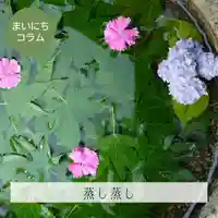 壽徳寺 じゅとくじの手水舎