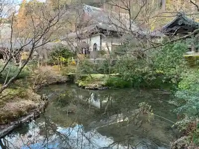 圓光寺(京都府)