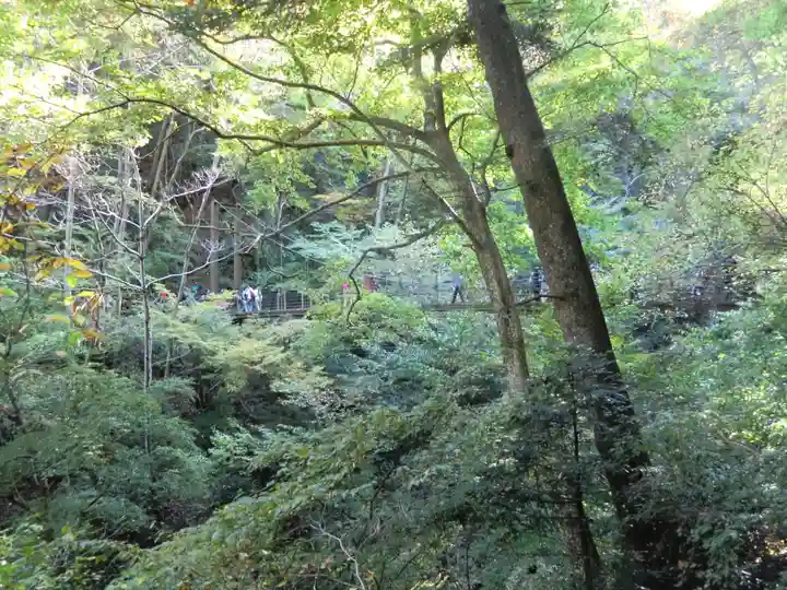 高尾山薬王院(東京都)