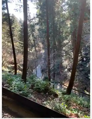 高尾山薬王院の周辺