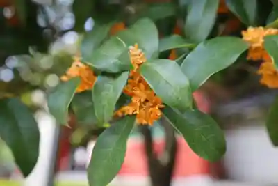 浅草寺(東京都)