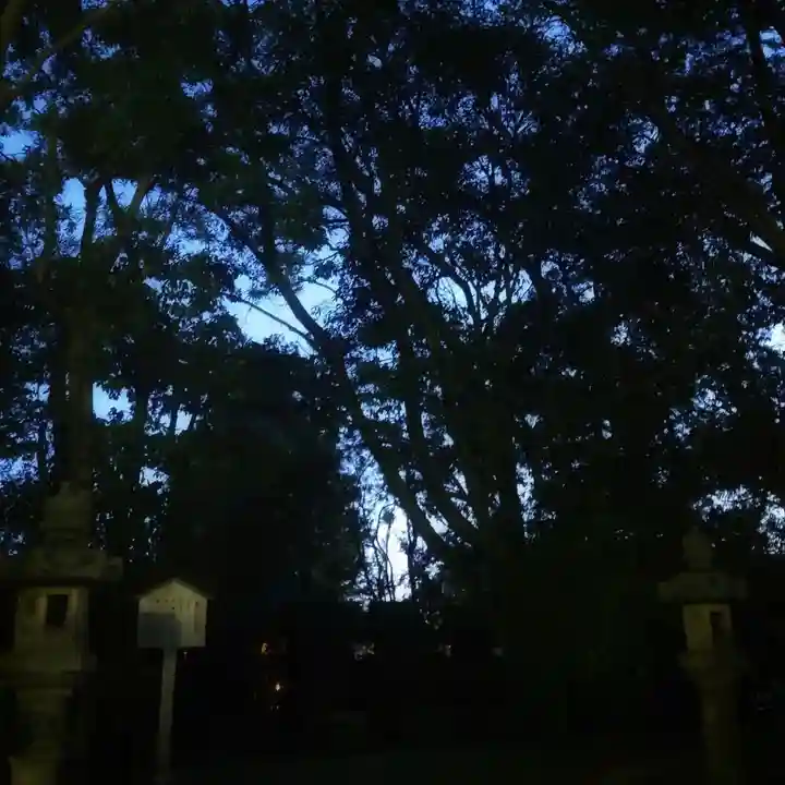尾張大國霊神社(国府宮)(愛知県)