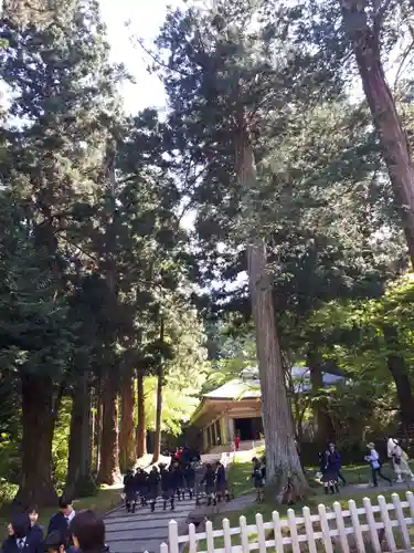 中尊寺のその他建物