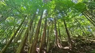 戸隠神社火之御子社(長野県)