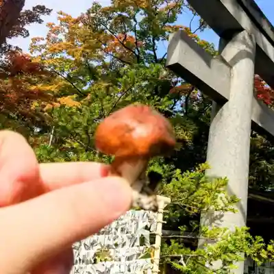 彌彦神社 (伊夜日子神社)の食事