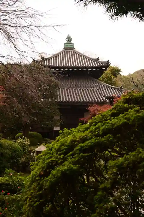 安楽寺(京都府)