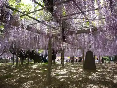 玉敷神社の庭園