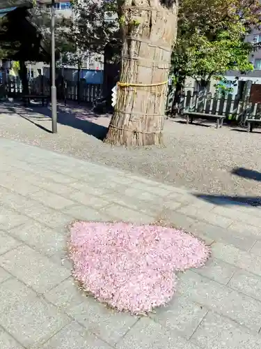 北海道神宮頓宮(北海道)